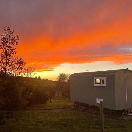 The Buteland Stop Rosie Off Grid Shepherds Hut Bellingham Esterno foto
