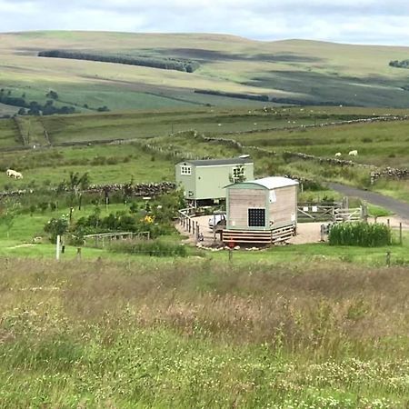 The Buteland Stop Rosie Off Grid Shepherds Hut Bellingham Esterno foto