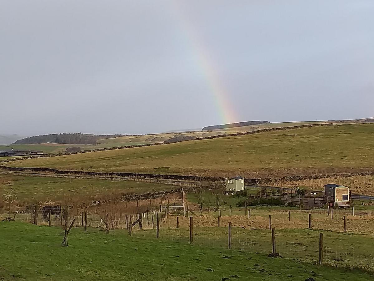 The Buteland Stop Rosie Off Grid Shepherds Hut Bellingham Esterno foto