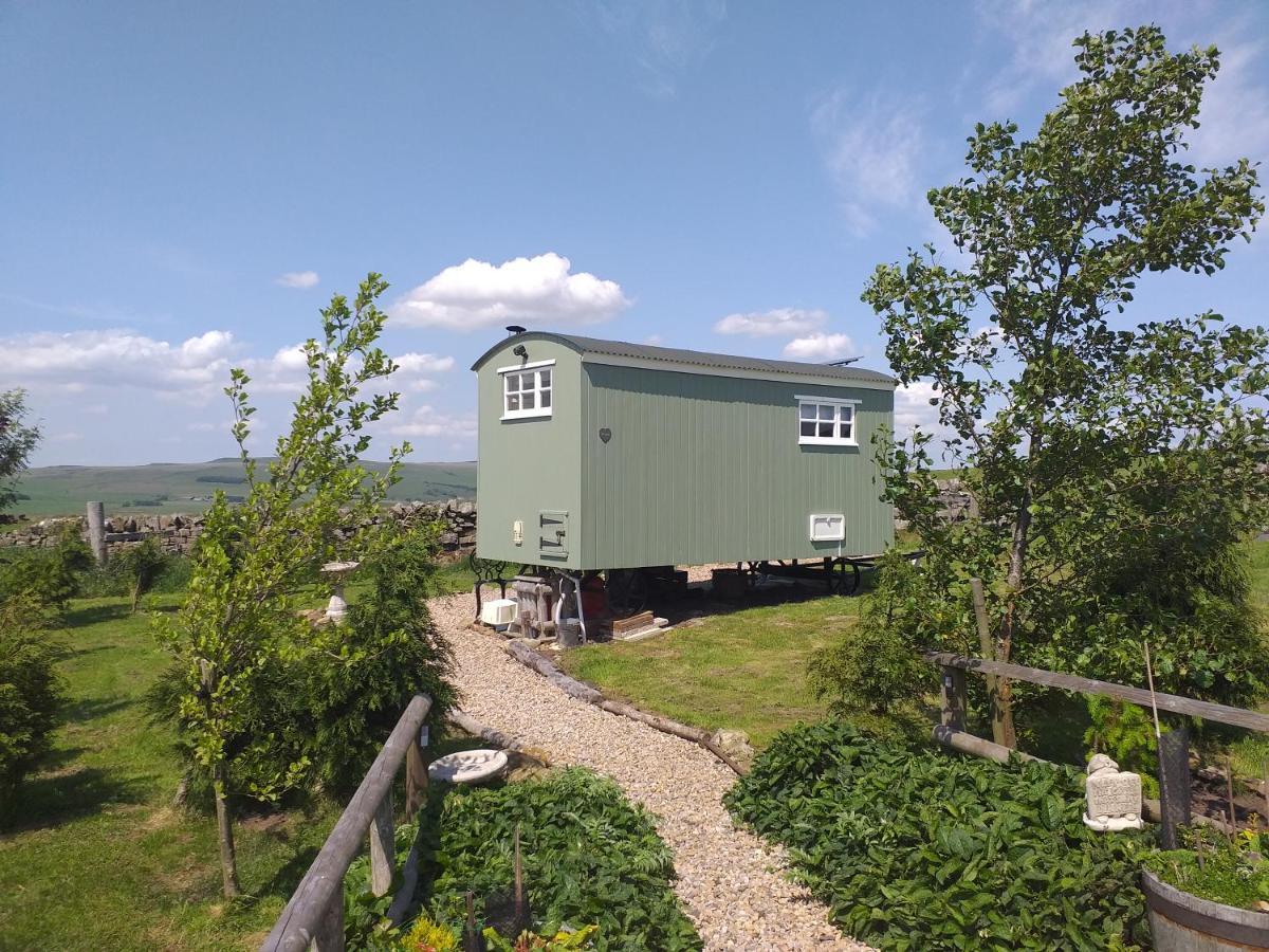 The Buteland Stop Rosie Off Grid Shepherds Hut Bellingham Esterno foto