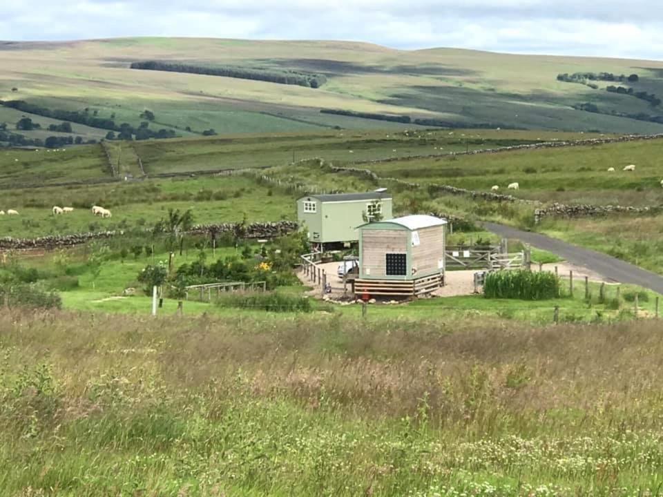 The Buteland Stop Rosie Off Grid Shepherds Hut Bellingham Esterno foto