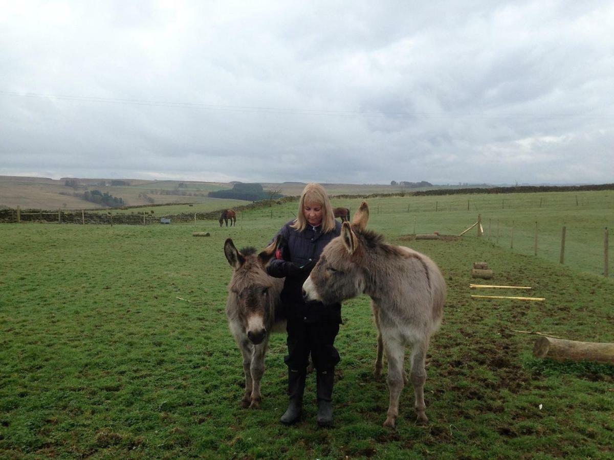 The Buteland Stop Rosie Off Grid Shepherds Hut Bellingham Esterno foto
