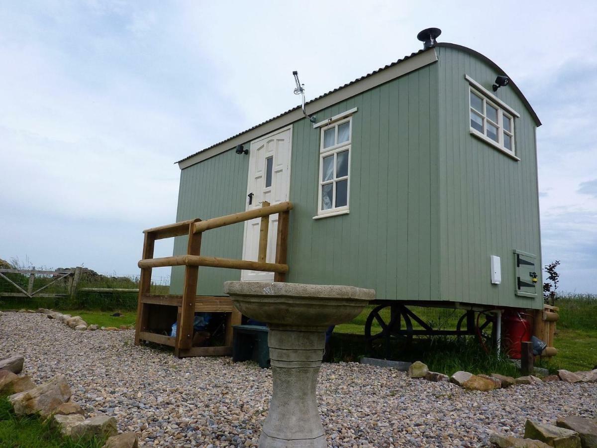 The Buteland Stop Rosie Off Grid Shepherds Hut Bellingham Esterno foto