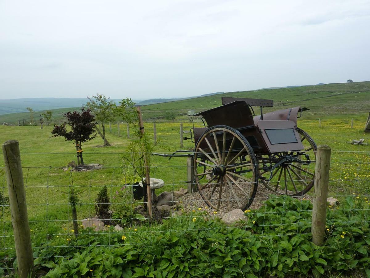 The Buteland Stop Rosie Off Grid Shepherds Hut Bellingham Esterno foto