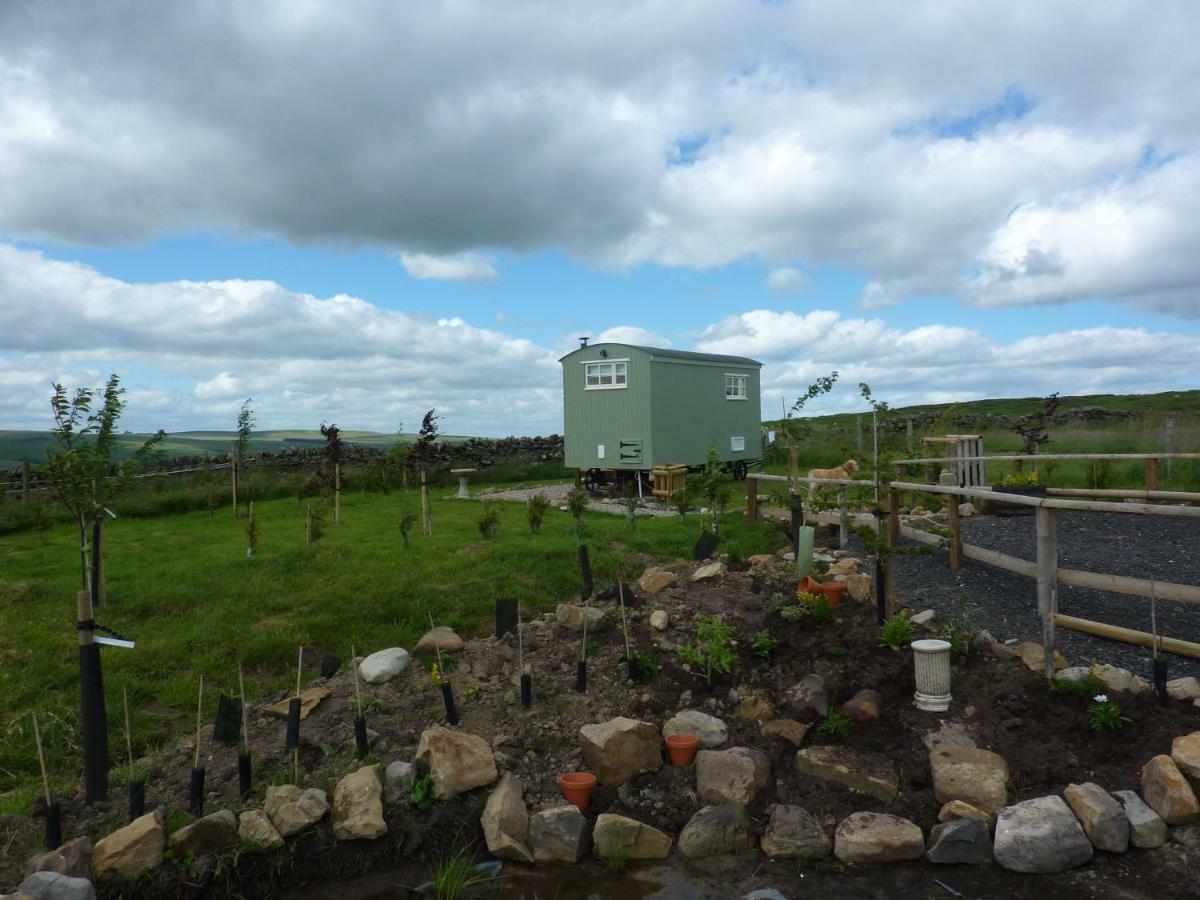 The Buteland Stop Rosie Off Grid Shepherds Hut Bellingham Esterno foto