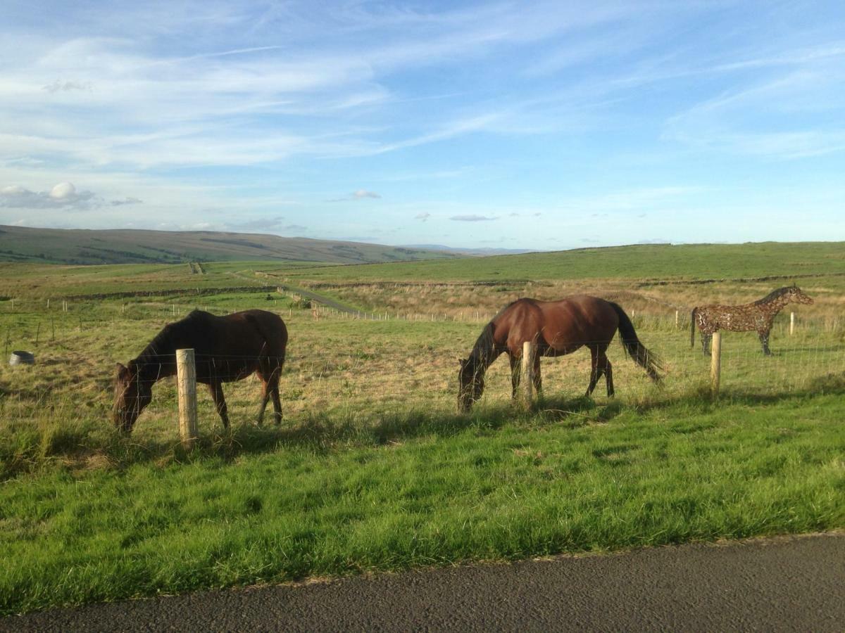 The Buteland Stop Rosie Off Grid Shepherds Hut Bellingham Esterno foto