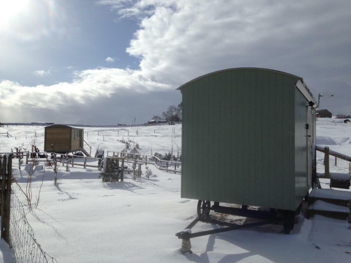 The Buteland Stop Rosie Off Grid Shepherds Hut Bellingham Esterno foto
