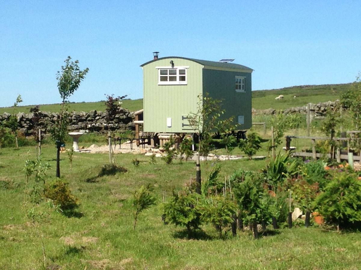 The Buteland Stop Rosie Off Grid Shepherds Hut Bellingham Esterno foto