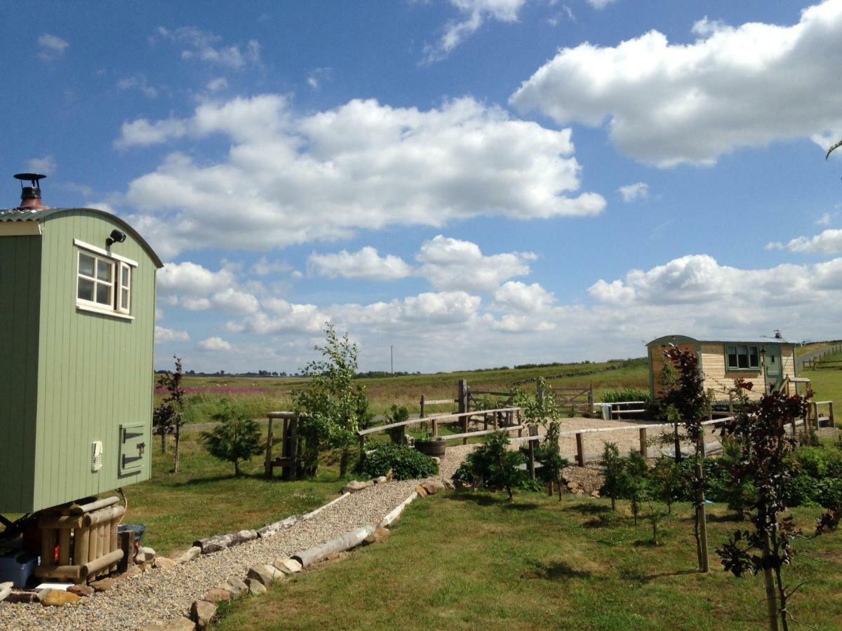 The Buteland Stop Rosie Off Grid Shepherds Hut Bellingham Esterno foto