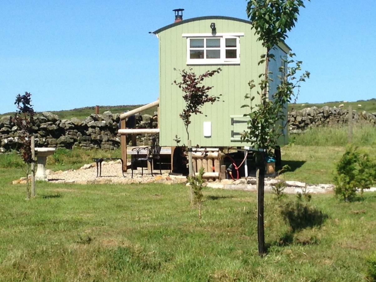 The Buteland Stop Rosie Off Grid Shepherds Hut Bellingham Esterno foto